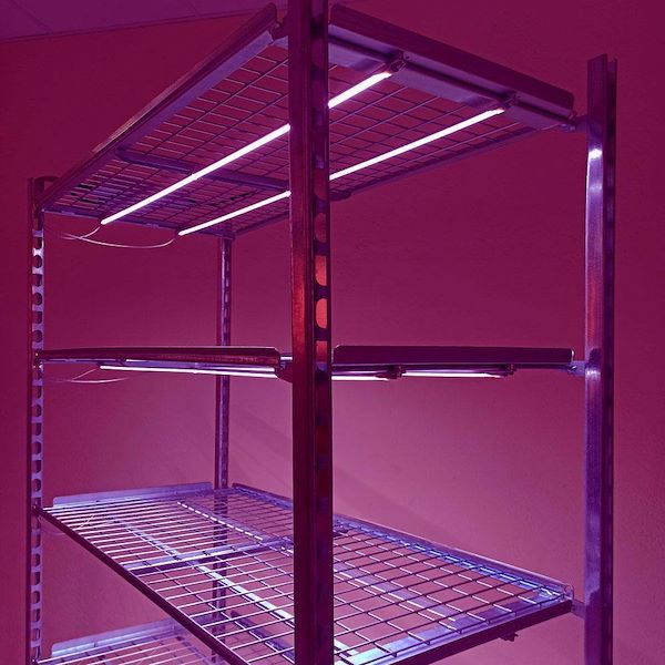 Carrello a griglia con kit luci LED per microgreens