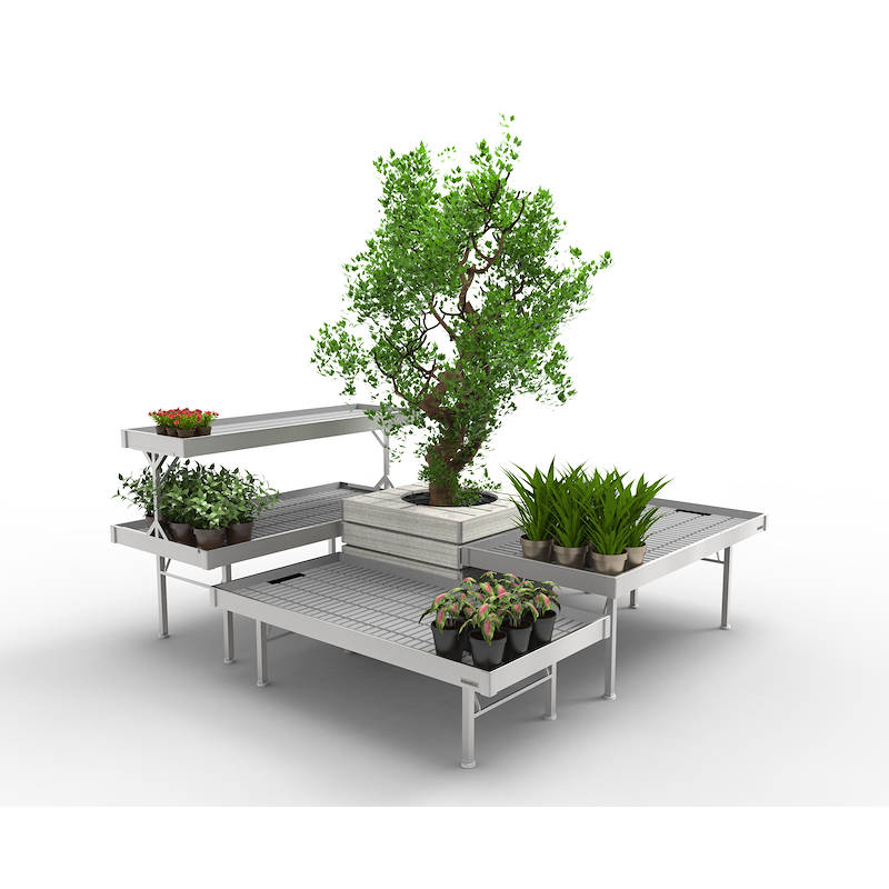 Support pour plante aérienne en acier inoxydable, conteneur pour fraises et  andsia, présentoirs pour plantes, base