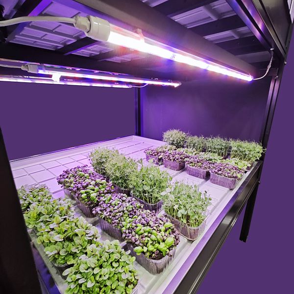 Sistema per vertical farming