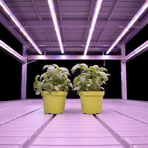 Sistema per vertical farming